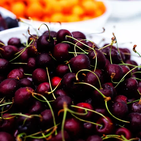 Bianco Olympico Ξενοδοχείο 4*